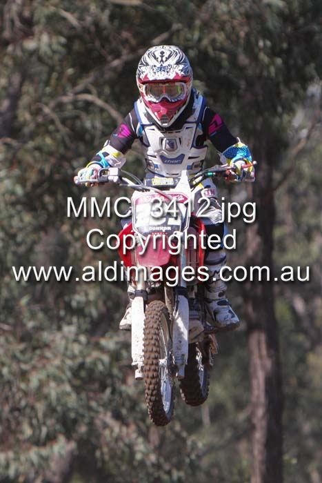 445x677 pixels (58K)